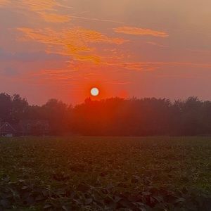 Meet your Posher, Jordyn